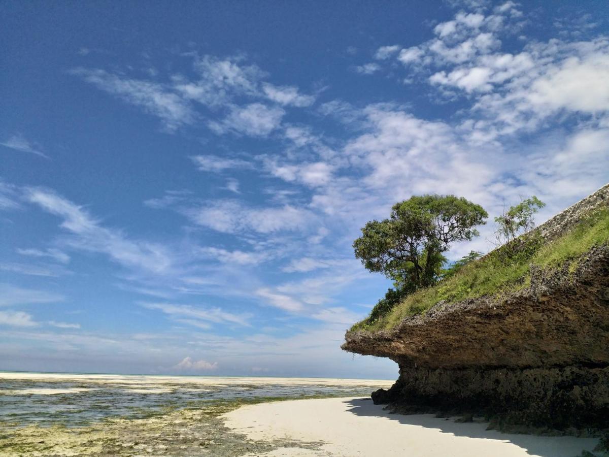 Beachfront Villa Ladha Ya Zanzibar Jambiani (Zanzibar) Exterior foto